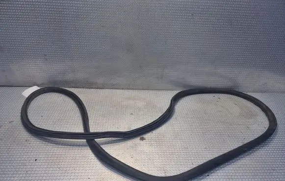 Front door rubber seal