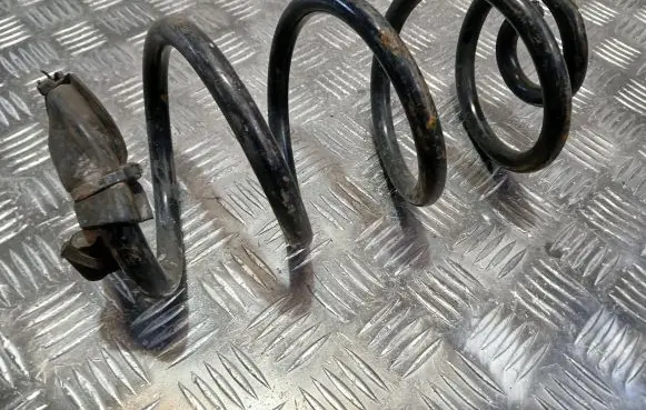 Nissan Qashqai Rear coil spring