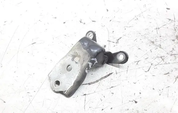 Chevrolet Captiva Front door lower hinge 