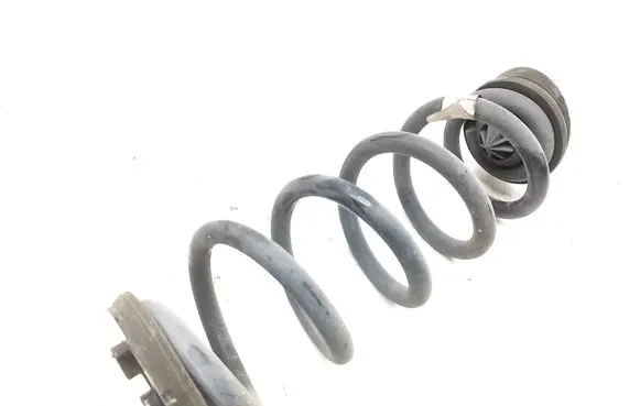 Rear coil spring