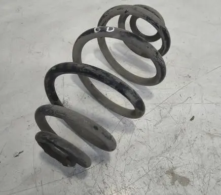 Volkswagen PASSAT B5.5 Rear coil spring