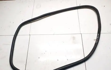 Citroen C5 Rubber seal rear door 