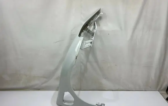 Porsche Taycan 9J1 Fender