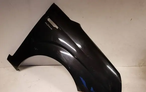 SsangYong Rodius Fender