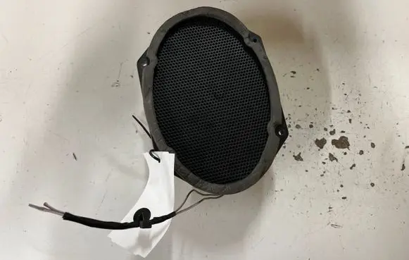 Front door speaker