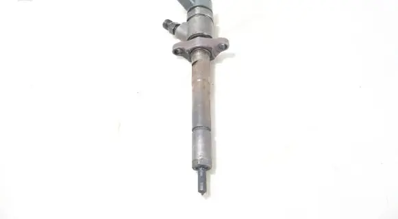 Citroen C4 I Fuel injector 0445110136