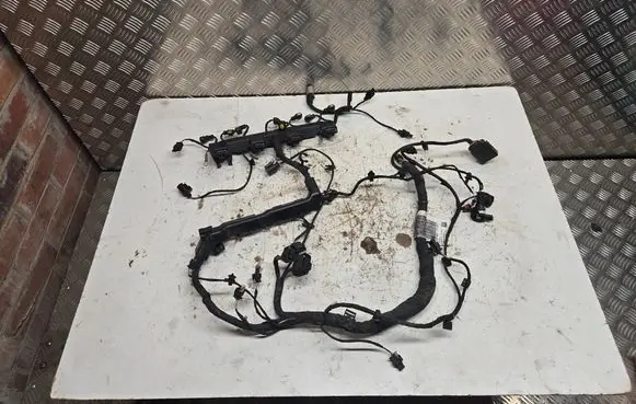 Audi A4 S4 B9 Engine installation wiring loom 06L971595CJ