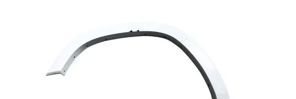 Fender trim (molding)