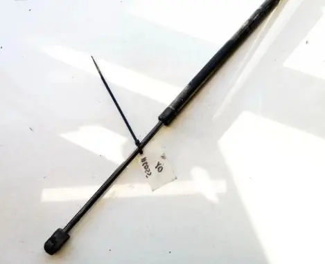 Renault Scenic II - Grand scenic II Tailgate/trunk strut/damper 24602
