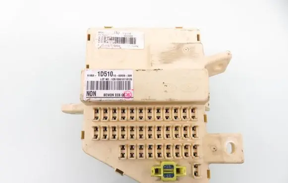KIA Carens III Fuse box set 919501D510
