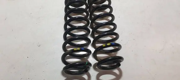 Dacia Spring Rear coil spring 550204082R