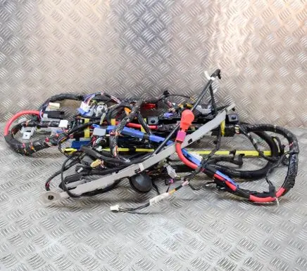 Tesla Model Y Other wiring loom 248904202A