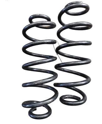 Rear coil spring