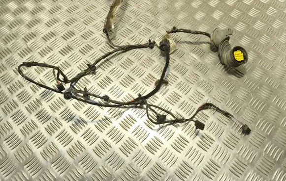 Front door wiring loom