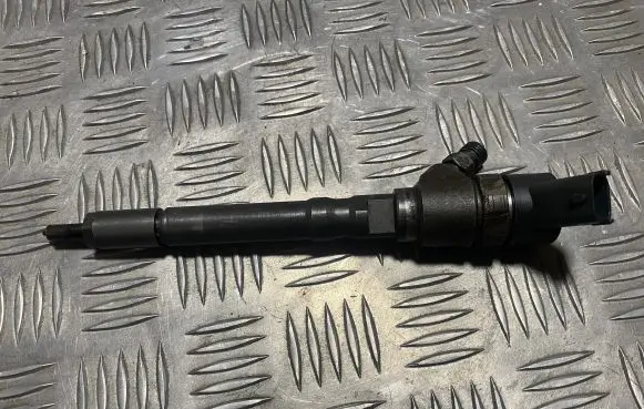 Hyundai Santa Fe Fuel injector 0445110064 3380027010