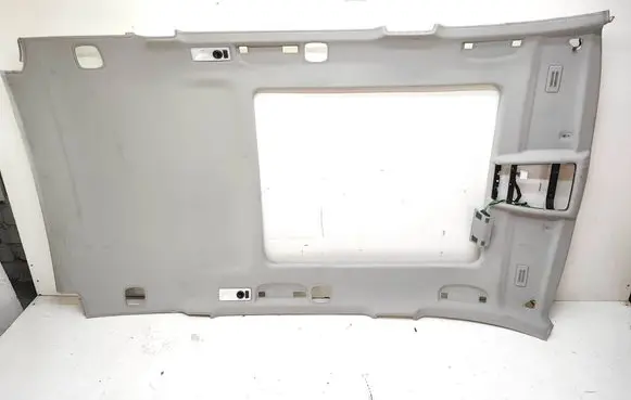 BMW X3 F25 Headlining 7252710