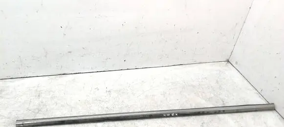 Hyundai Sonata Rear door trim (molding)