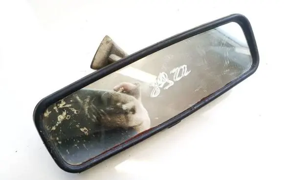 Nissan Primera Rear view mirror (interior) e11011167