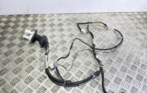 Honda CR-V Front door wiring loom 32752SWAG012