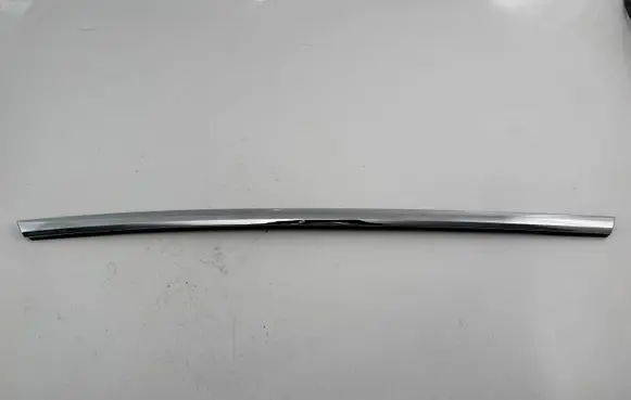 Tesla Model S Front door trim (molding)