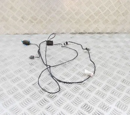 Tesla Model X Other wiring loom 103243700F