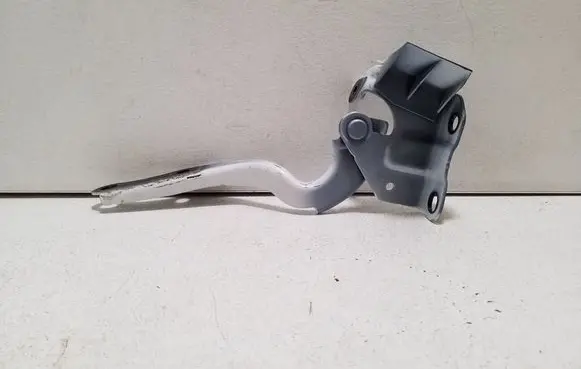 Toyota bZ4X Engine bonnet/hood hinges