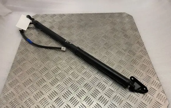 Lexus RX 450H Tailgate/trunk strut/damper 6891048100