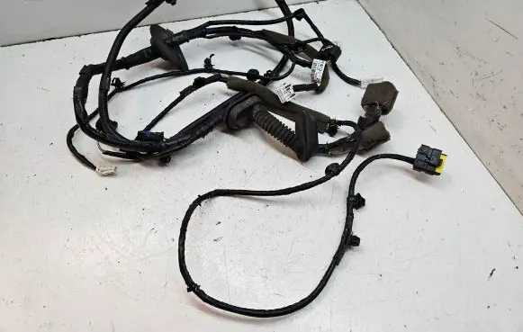 Renault Koleos I Front door wiring loom 24124JY40D12
