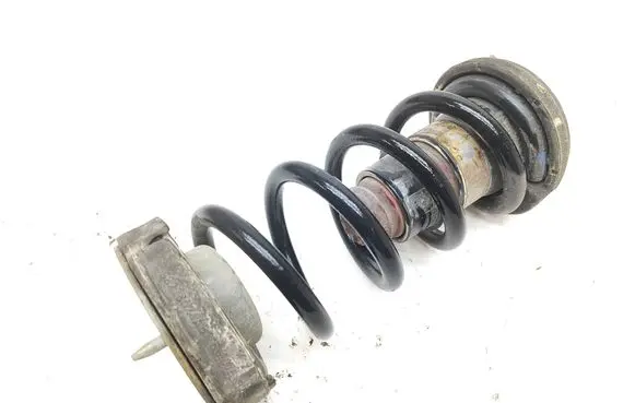 Rear coil spring