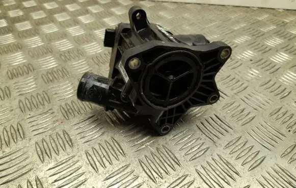 Thermostat/thermostat housing