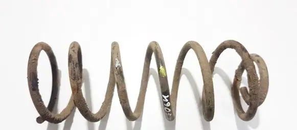 Hyundai Getz Rear coil spring