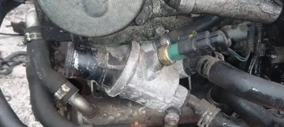 Opel Signum Engine coolant pipe/hose