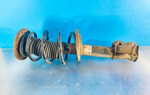 Opel Signum Front shock absorber with coil spring 13214373 461022360 824903001019