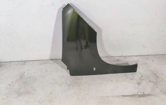 Citroen Berlingo Fender