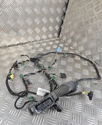 Volkswagen PASSAT B8 Rear door wiring loom 4L0971841