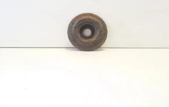 Coil spring mount