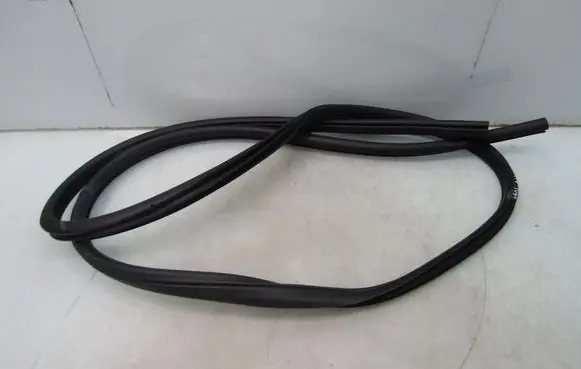 Nissan Leaf II (ZE1) Rubber seal rear door 