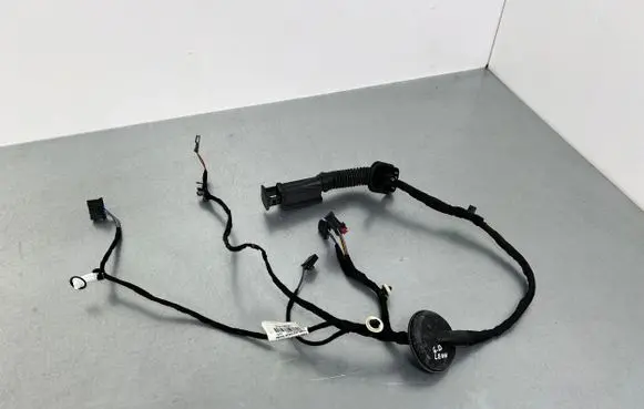 Rear door wiring loom