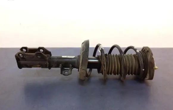 Opel Astra K Front shock absorber with coil spring 39039563