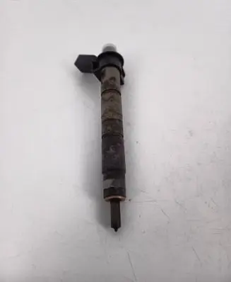 BMW X5 E70 Fuel injector 7805430 0445117