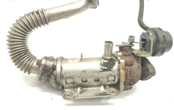 Renault Trafic II (X83) EGR valve cooler 8200340616 876481V