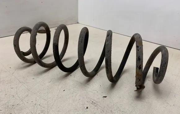 Volkswagen Golf VI Rear coil spring WW00D