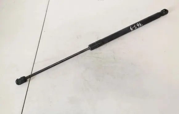 Tailgate/trunk strut/damper