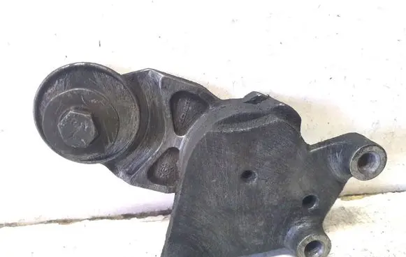 Ford Focus C-MAX Timing belt tensioner 419484