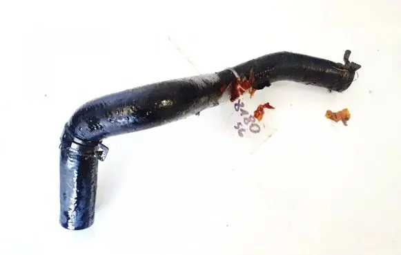 Volkswagen Touareg I Engine coolant pipe/hose