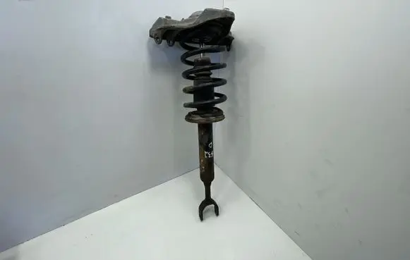Volkswagen PASSAT B5.5 Front shock absorber with coil spring 