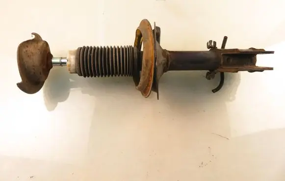 Fiat Doblo Front shock absorber/damper