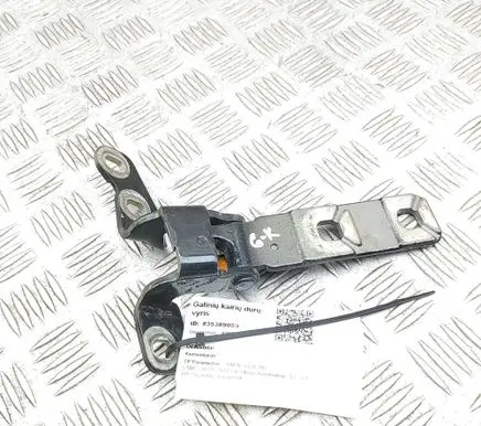 BMW X5 E70 Rear door lower hinge 7170918