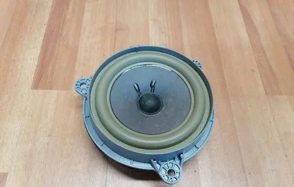 Rear door speaker