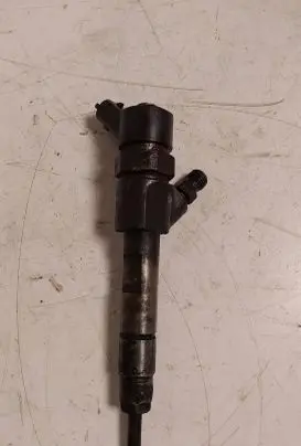 Renault Scenic I Fuel injector 0445110146